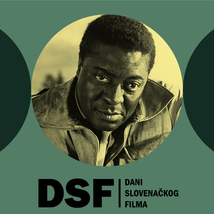 dsf_logo