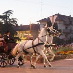 Defile filmskih stvaraoca je tradicija SOFEST-a.